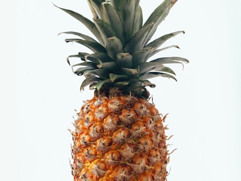 Abacaxi