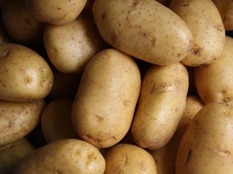 Batata