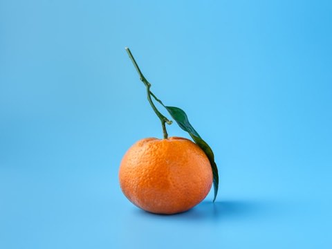 Tangerina